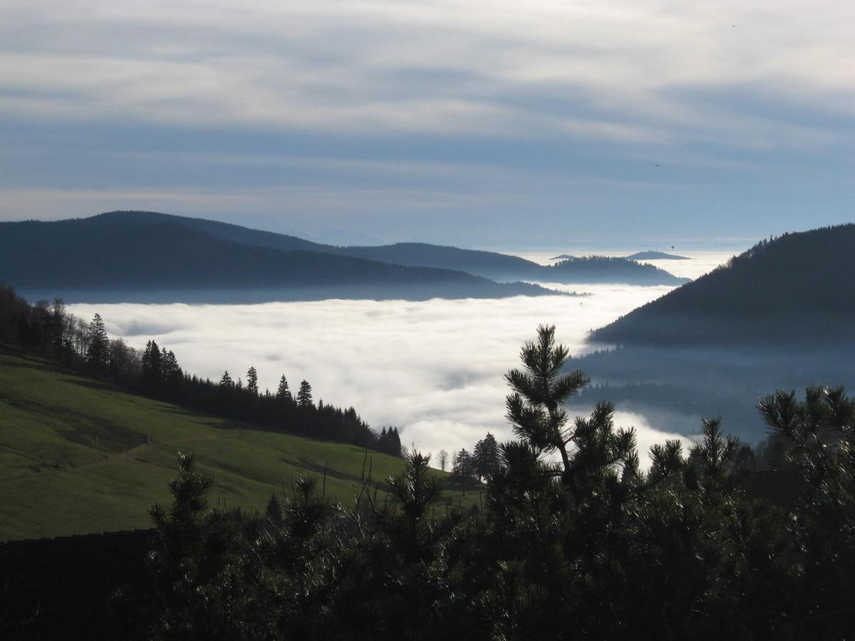 Schoene Aussicht Тодтнау Екстер'єр фото