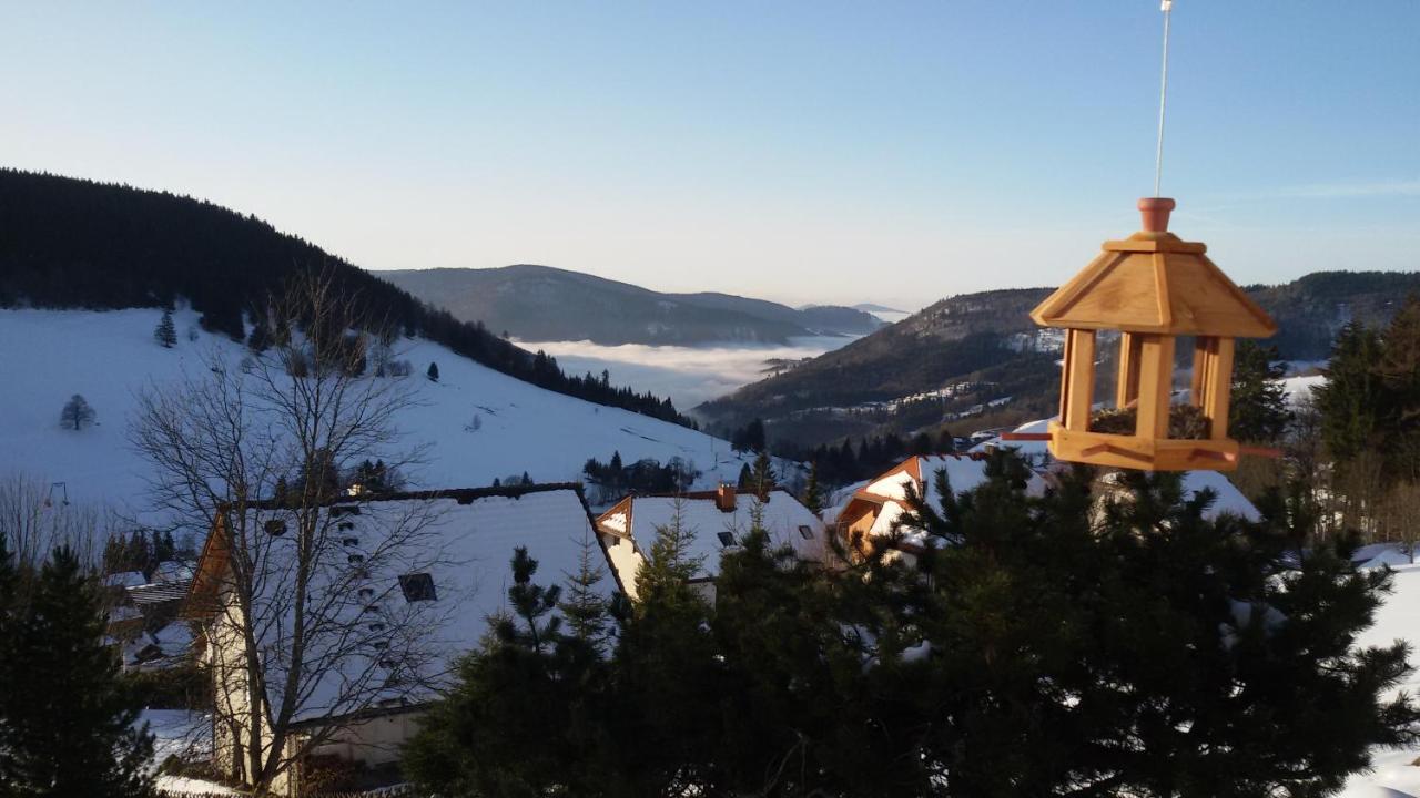 Schoene Aussicht Тодтнау Екстер'єр фото